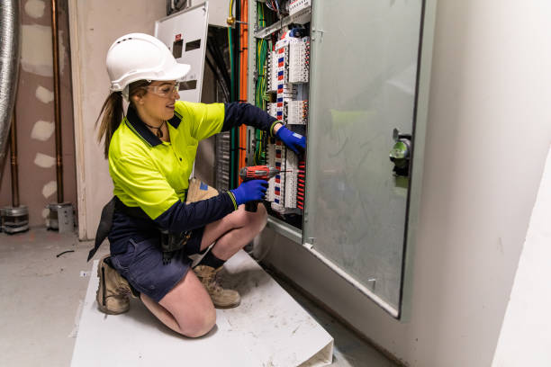 Best Electric Panel Repair  in Rosenhayn, NJ